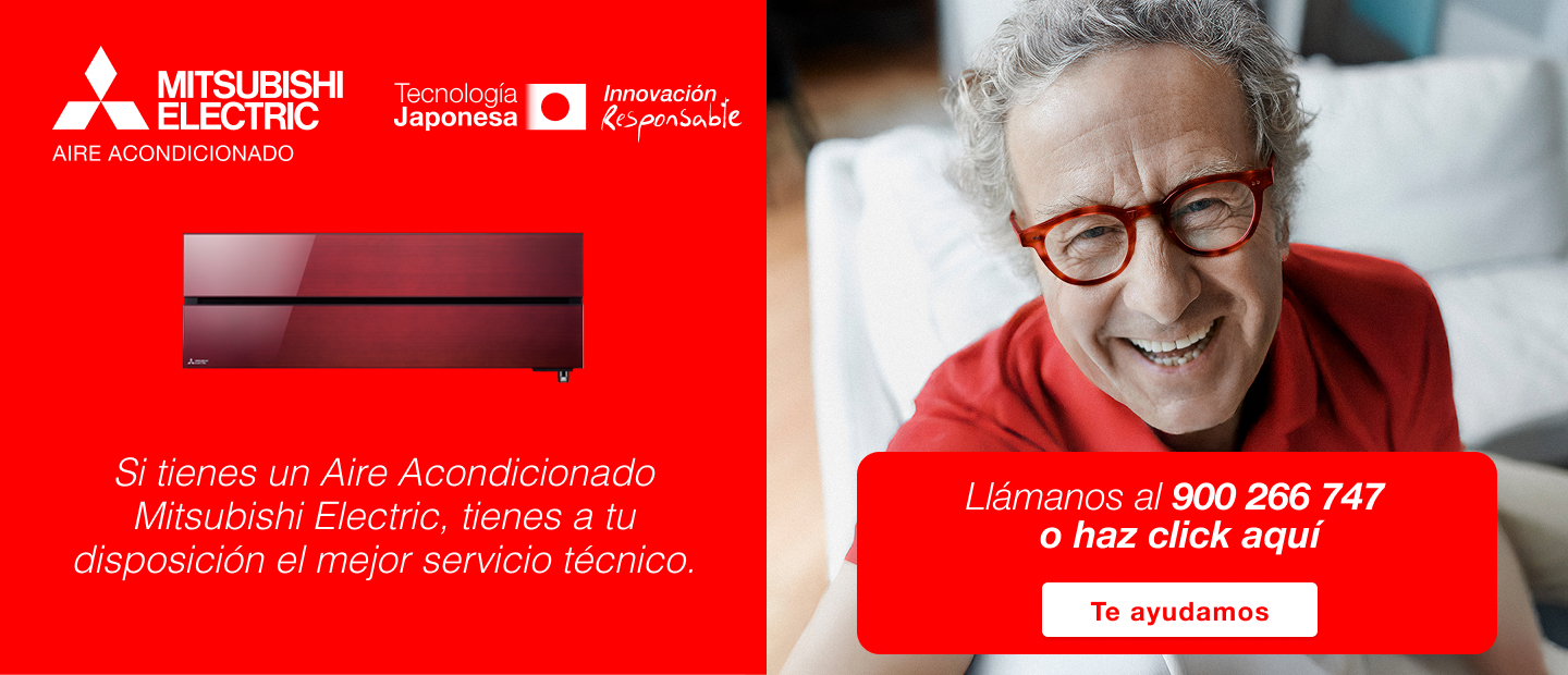 Asistencia Técnica